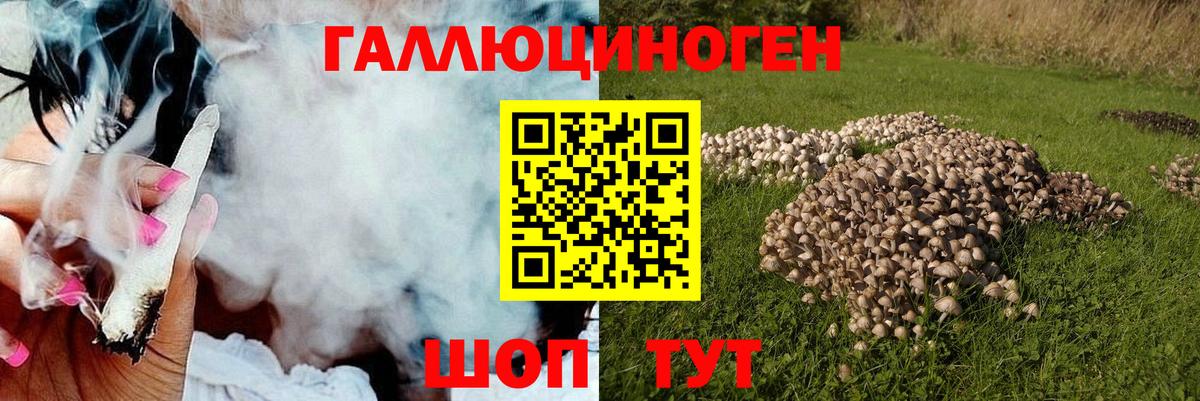 Псилоцибиновые грибы Cubensis Первоуральск
